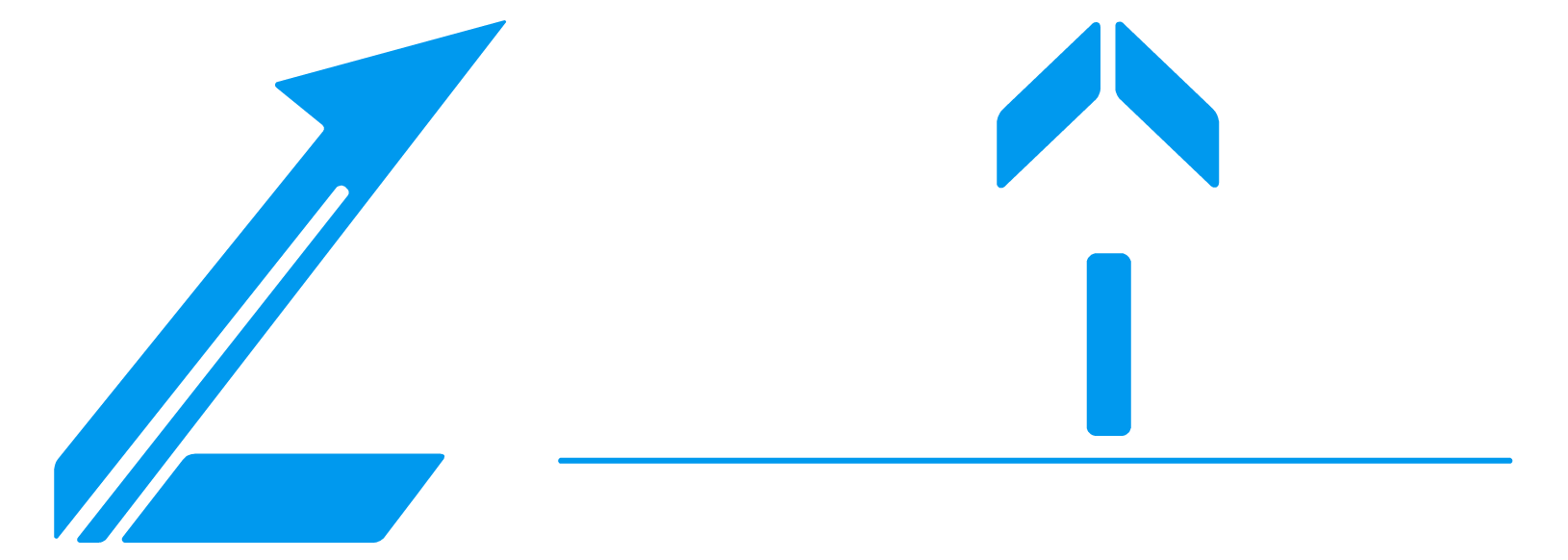 Zucchina